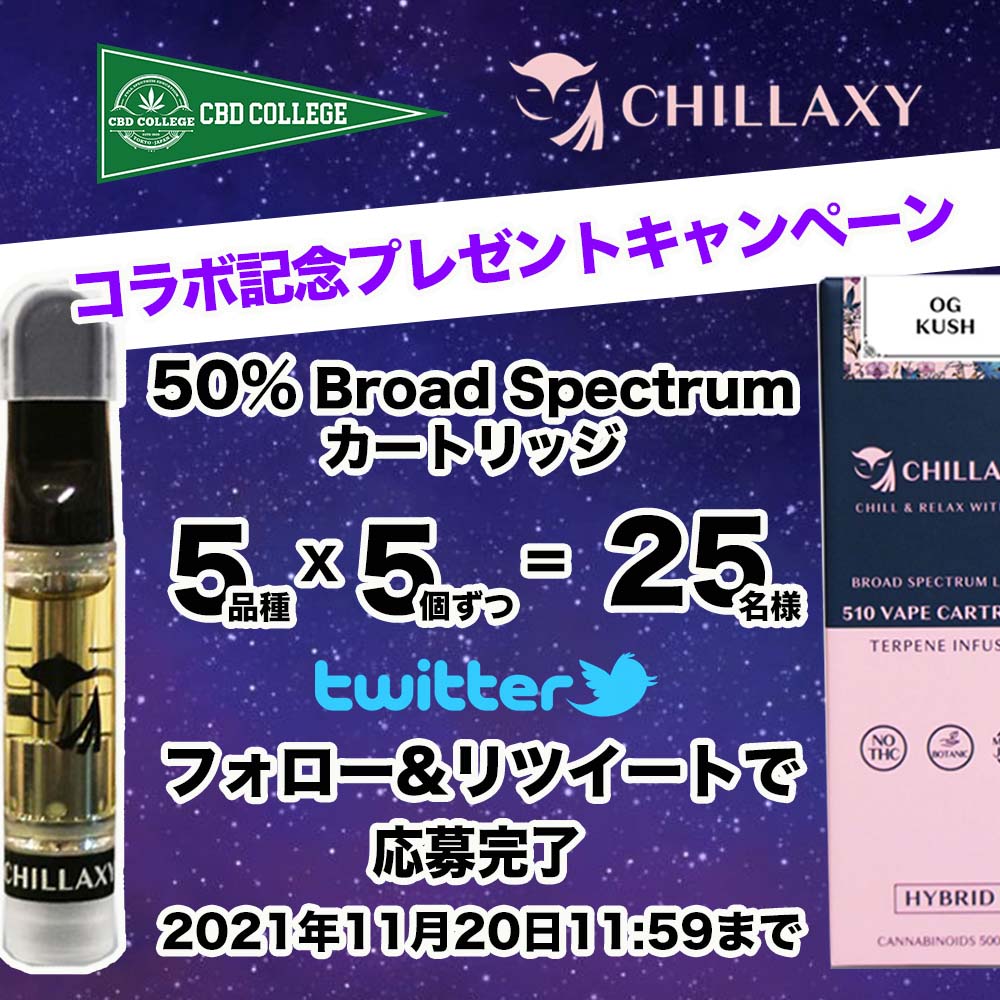 CBDカレッジ - CHILLAXY - チラクシー - CBD - 最新バズ