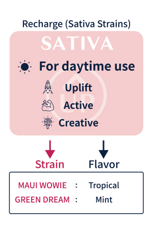 sativa - CHILLAXY - チラクシー - CBD - ENGLISH