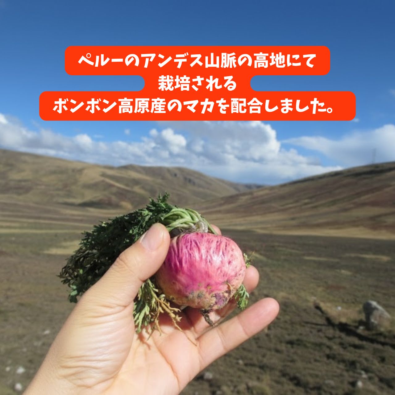 5 04c64316 426c 4417 914f 7825cb25f4bc