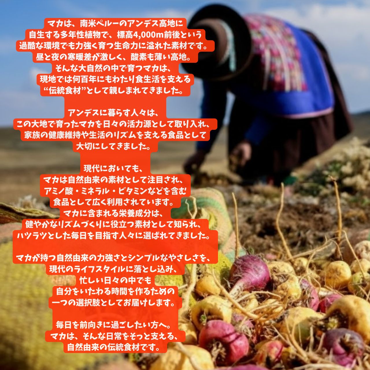 6 46309f08 8084 49c4 Ab5f 7515a4d87e6a