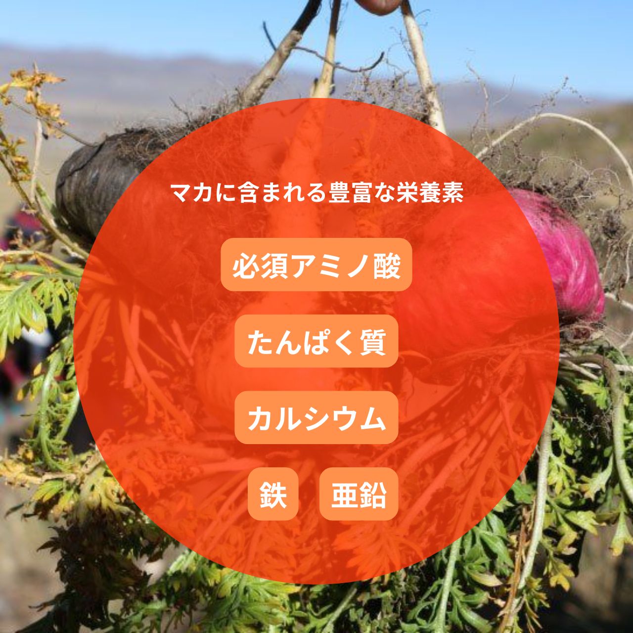 7 598cfc9a Ac96 4e8c 9c2f 7f88ef5ae115