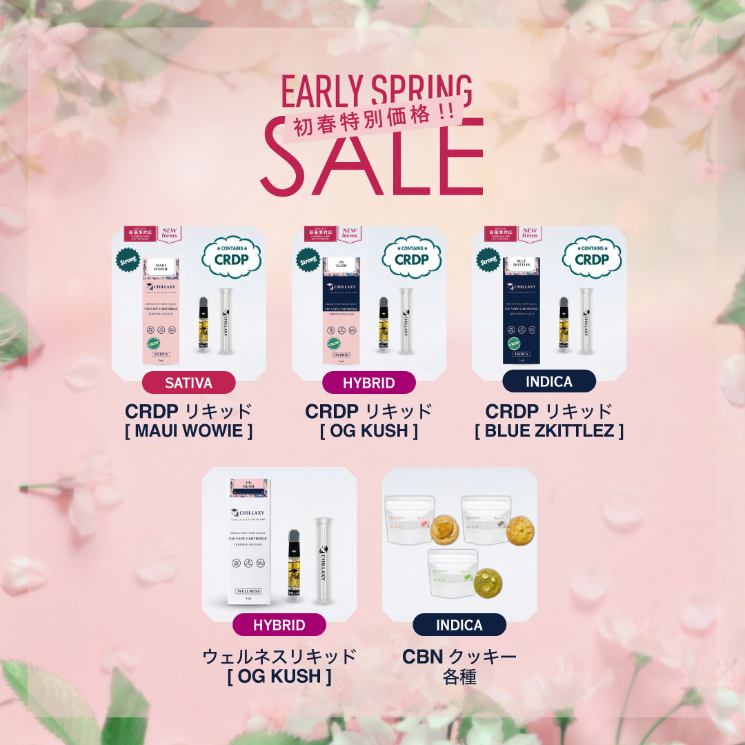 CHILLAXY Early Spring Collection