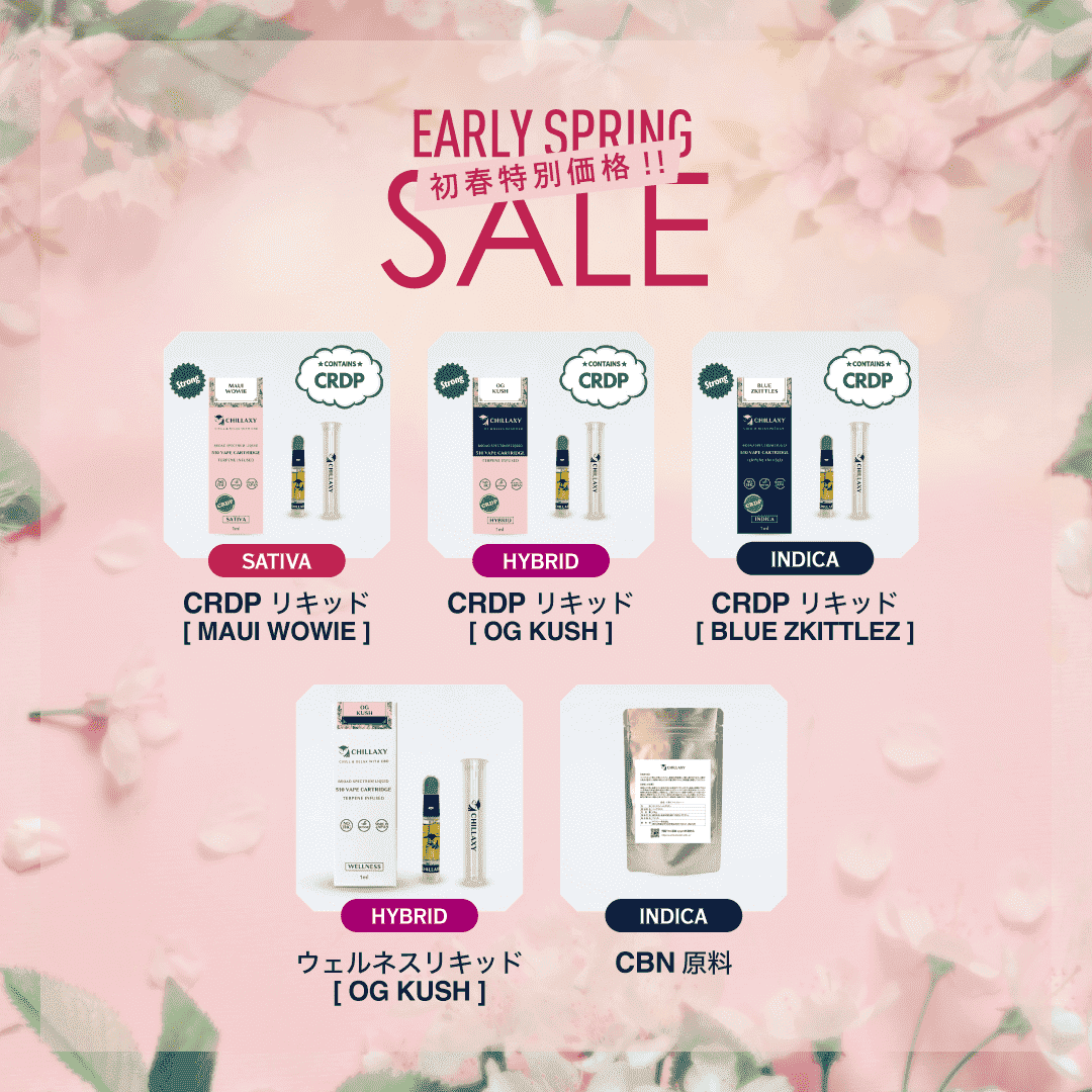 CHILLAXY Early Spring Collection